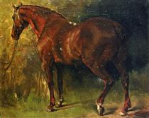 Английская лошадь месье Дюваля - Гюстав Курбе