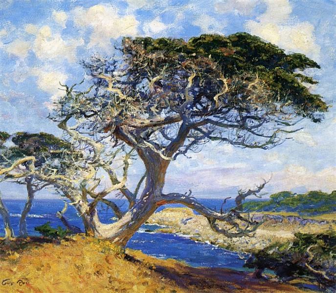 Monterey Cypress - Гі Роуз