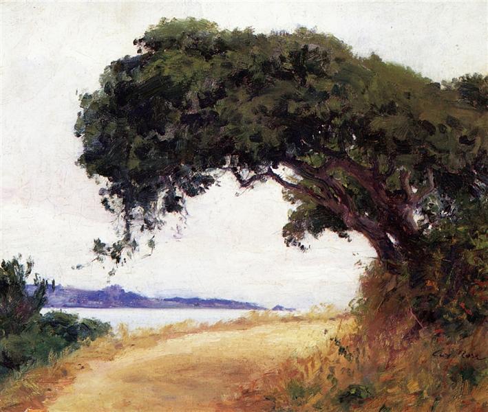 Point Lobos, Oak Tree, 1918 - Ги Роуз