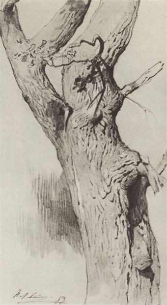 Ствол старого дерева, 1883 - Исаак Левитан