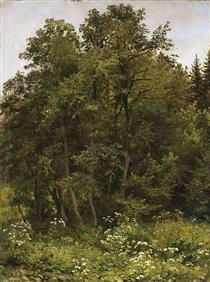 At the edge of the forest - Iván Shishkin