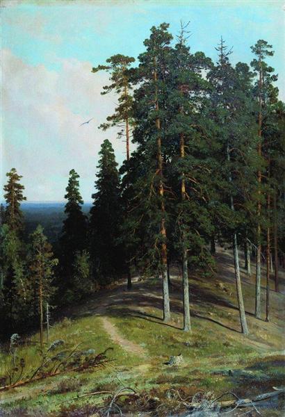 Forest from the mountain, 1895 - Ivan Chichkine