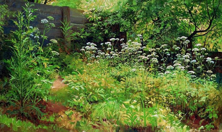 Goutweed-grass. Pargolovo, 1884 - 1885 - 伊凡·伊凡諾維奇·希施金