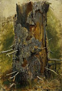 A casca de árvore no tronco seco - Ivan Shishkin