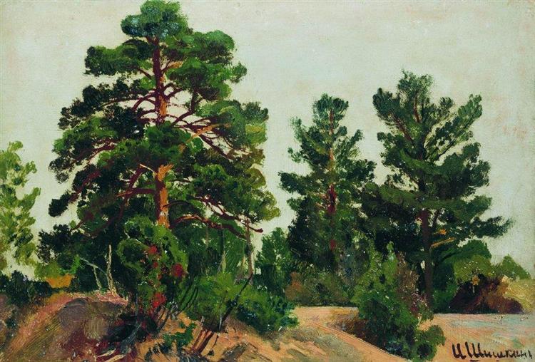 Young pines - Iván Shishkin