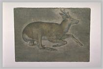 Sketch of young deer - Якопо Белліні