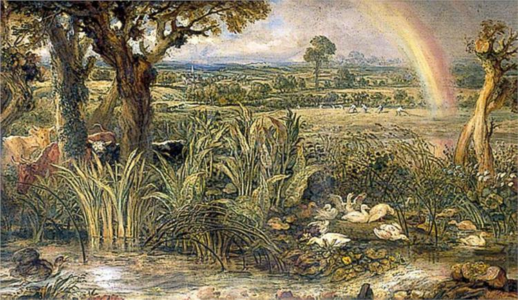 Duckweeds, 1845 - James Ward