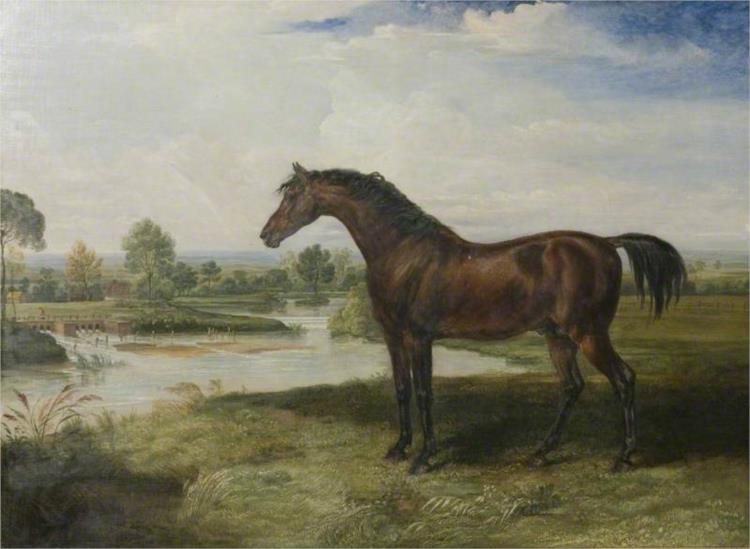 'Haphazard', 1820 - James Ward