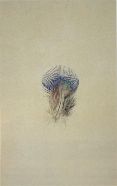 Study of a Peacock's Breast Feather, 1875 - John Ruskin