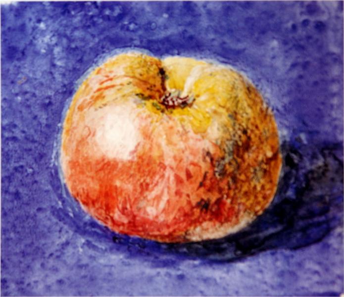 Study of an Apple, 1875 - John Ruskin