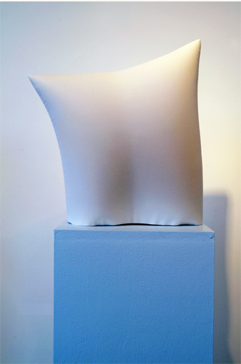 Pillow Bust, 2006 - Kate Carr