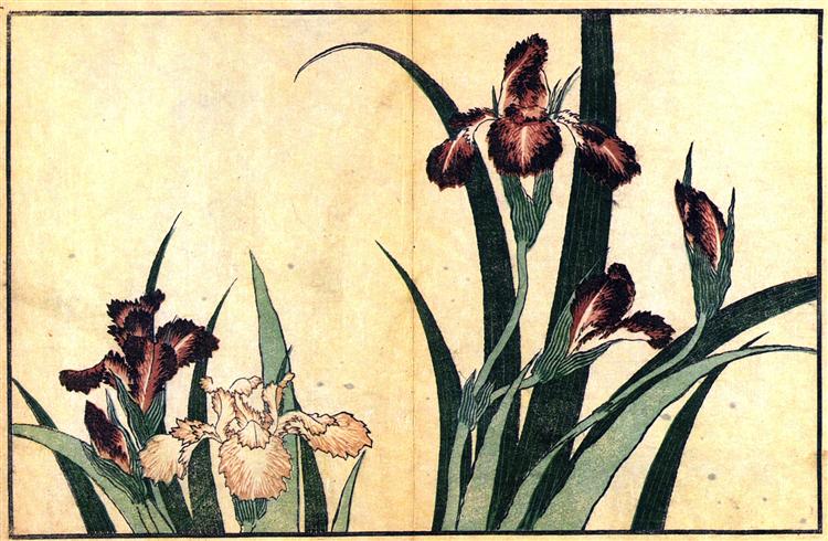 Irises - Кацусика Хокусай