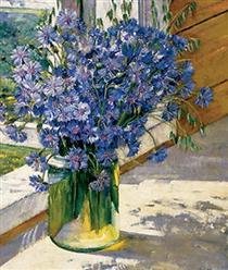 Cornflowers in a ray of sunshine - Constantin Youon