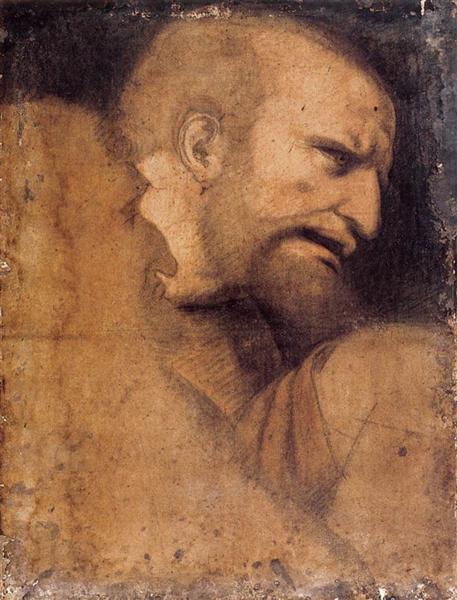 Head of St. Peter - Léonard de Vinci