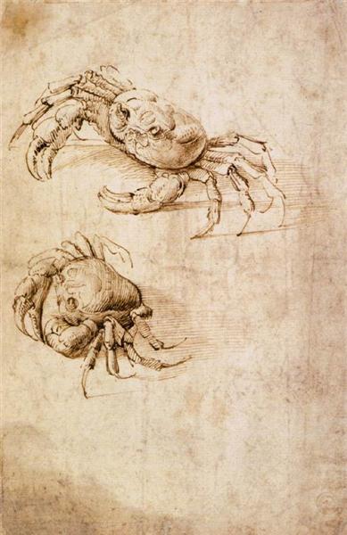 Studies of crabs - Леонардо да Вінчі