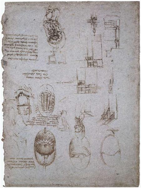 Studies of the Villa Melzi and anatomical study, 1513 - Леонардо да Винчи