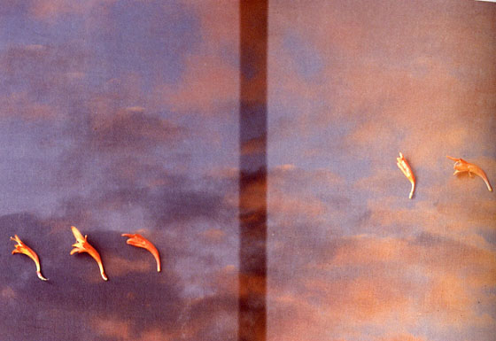 Untitled (35mm Transparency), 1990 - Li Yuan-chia