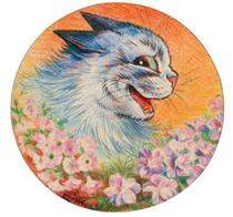 Cat in the moonlight — Steemit