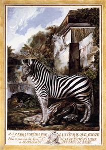 Zebra - Luis Paret y Alcázar