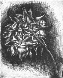 Flower - M. C. Escher