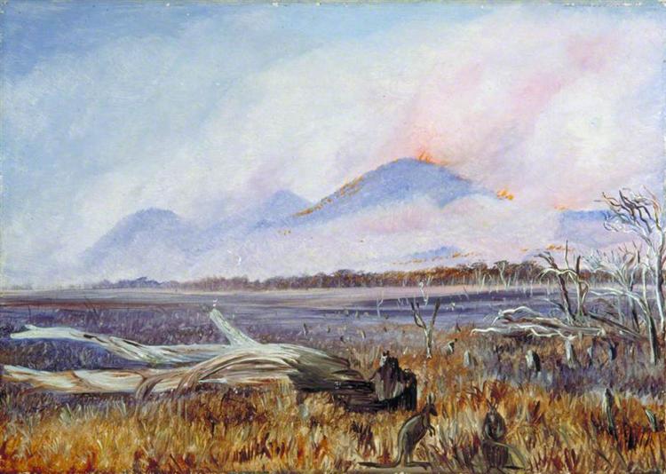 A Bush Fire at Sunset, Queensland, 1880 - Marianne North