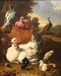 La poule blanche - Мельхіор де Хондекутер