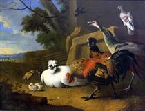 The poultry yard - Melchior d'Hondecoeter