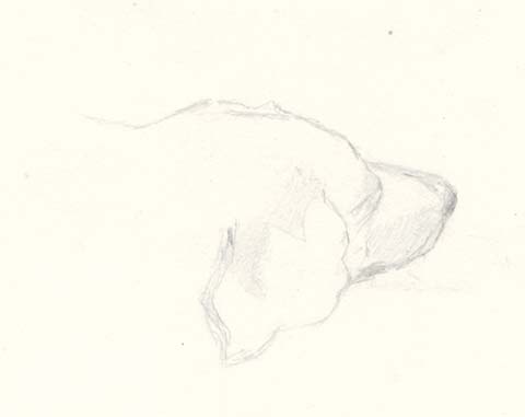 Head of a dog, 1893 - Nicholas Roerich
