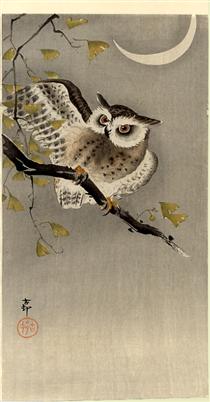 Owl on ginkgo branch (Scops owl under crescent moon) - 小原古邨