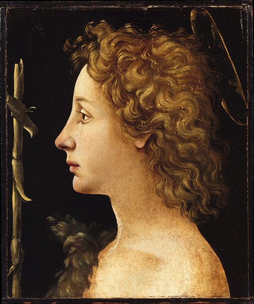 The Young Saint John the Baptist, 1480 - Пьеро ди Козимо