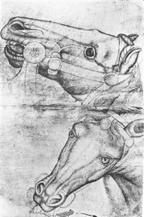 Study of Horse Heads - Пизанелло