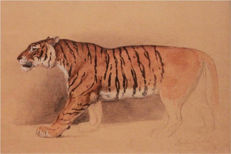 Study of walking tiger - Раден Салех