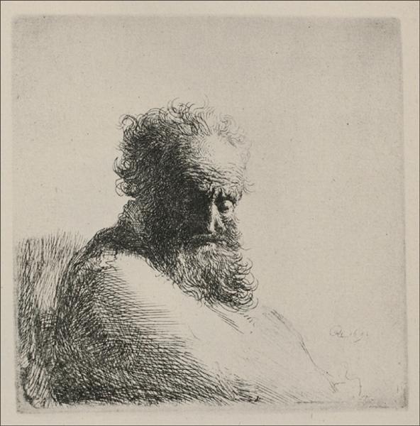 Bust of an Old Man with a Large Beard, 1631 - Rembrandt