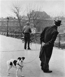Fox terrier on the Pont des Arts - Robert Doisneau