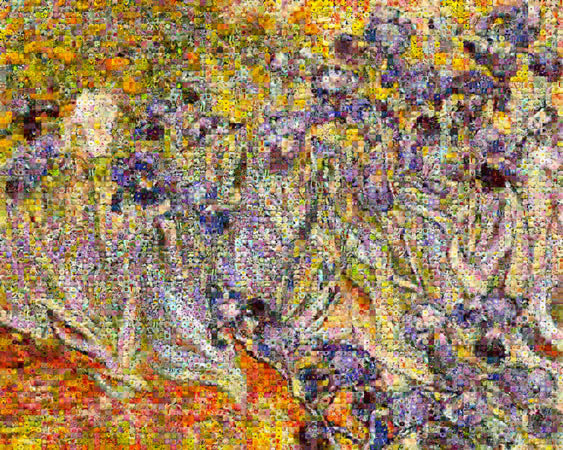 Irises, 2001 - Роберт Сільверс