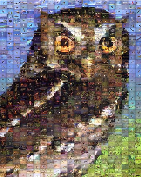 Owl - Robert Silvers