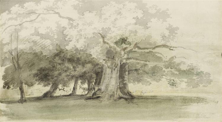 Árvores em um Parque, 1800 - Thomas Girtin