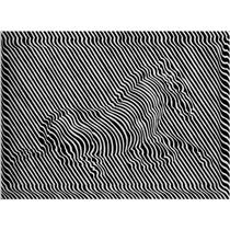 Zebra - Victor Vasarely