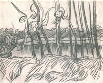A Row of Bare Trees - Винсент Ван Гог