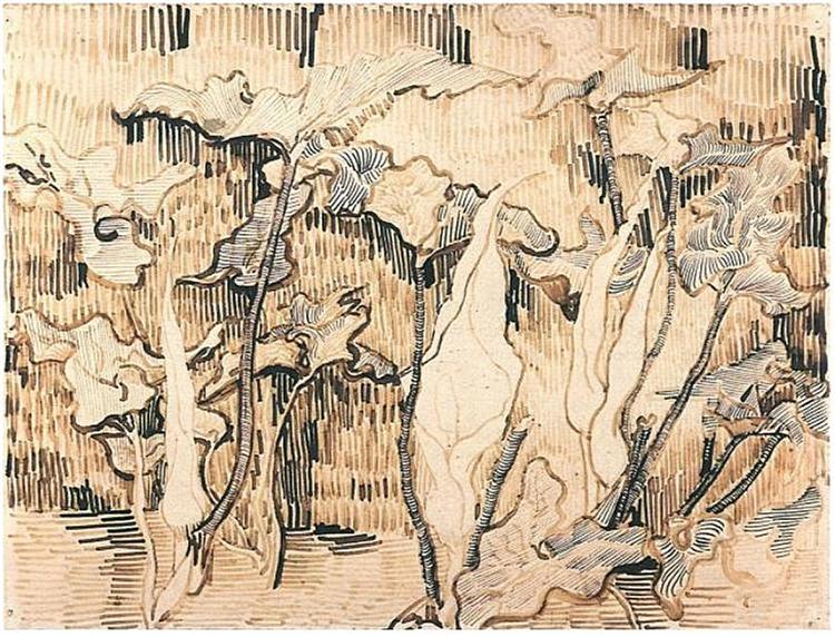 Arums, 1889 - Винсент Ван Гог