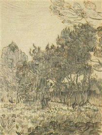Pine Trees near the Wall of the Asylum - Vincent van Gogh