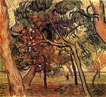 Study of Pine Trees - Винсент Ван Гог