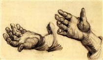 Two Hands - Vincent van Gogh