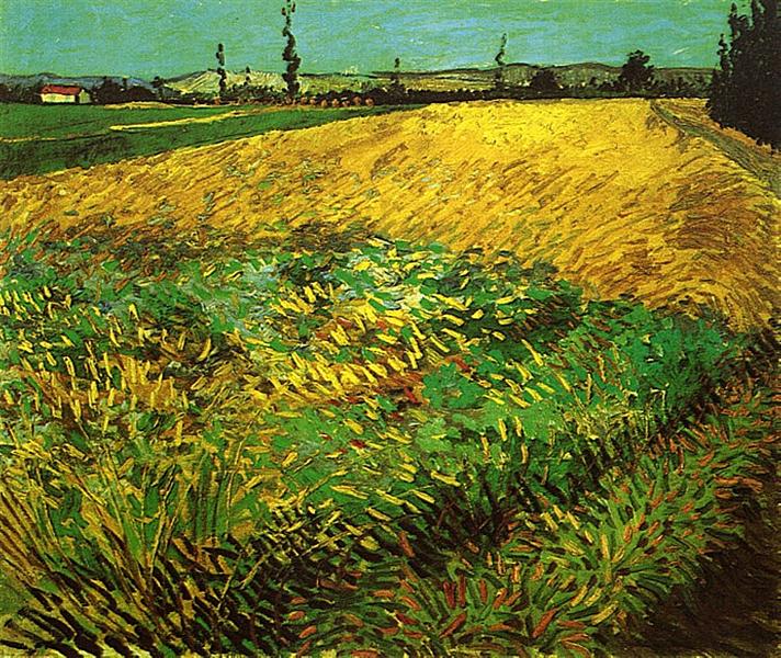 Wheat Field with the Alpilles Foothills in the Background, 1888 - 梵谷