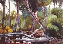 In the jungle, Florida - Уинслоу Хомер